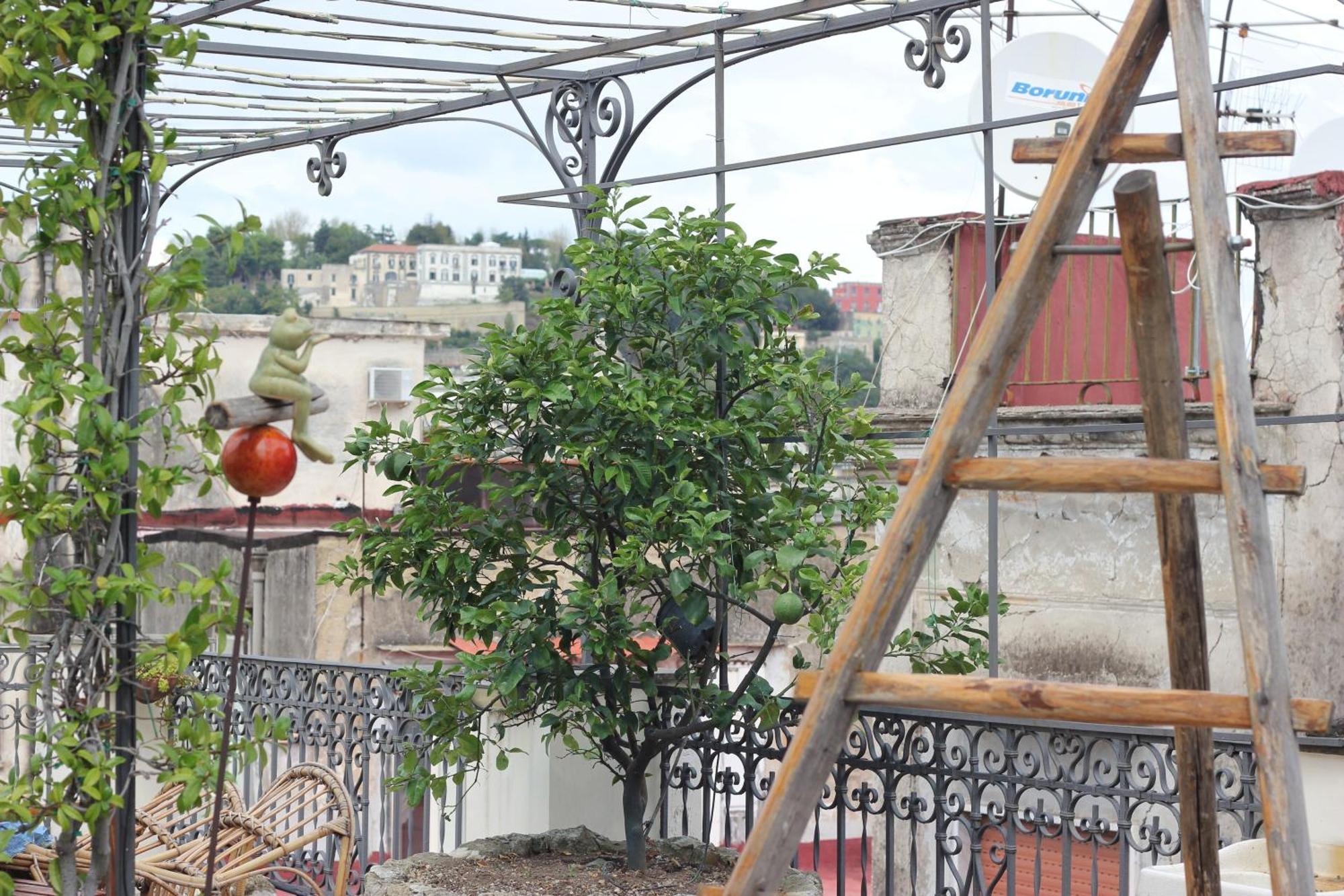 Lemon Tree Terrace Apartman Nápoly Kültér fotó